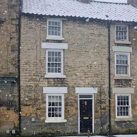 Black Cat - Pickering