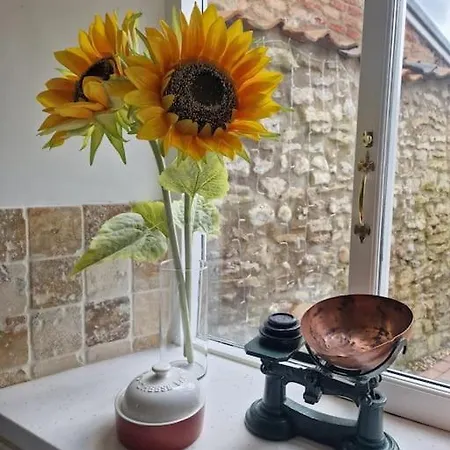 Black Cat - Feriehus Pickering