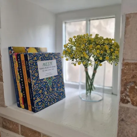 Feriehus Black Cat - *